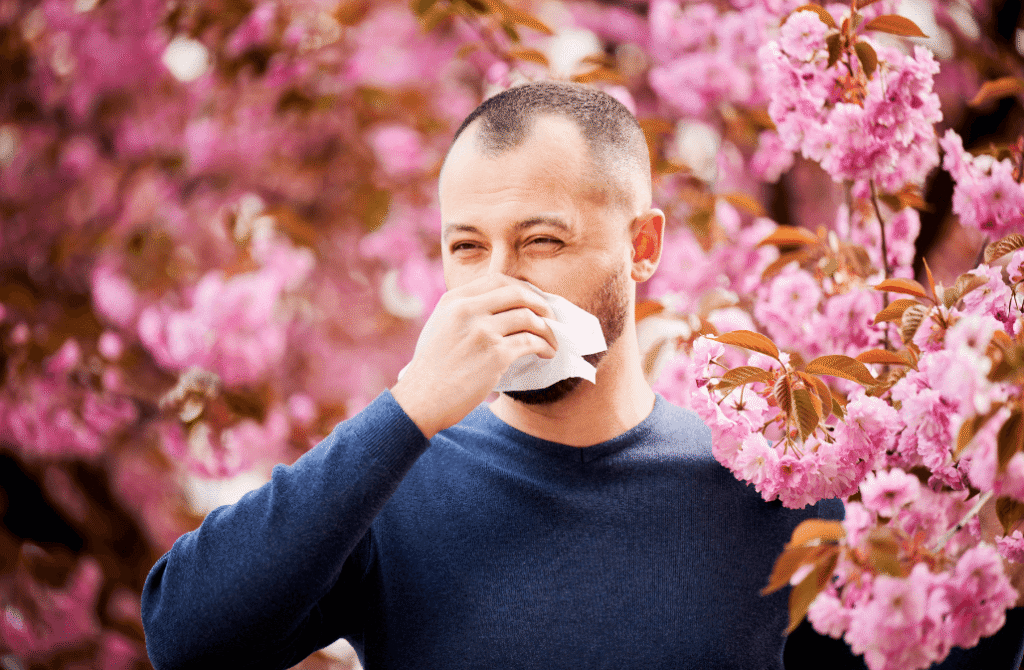 Heavy rain and high humidity are both signs that the rainy season has begun.  It's perfect for dust mites, pollen, and mold to grow in damp conditions because all three are allergens.
